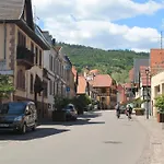 Elsa - Au Calme Des Vignes - Parking Privatif & Animaux Bienvenus Apartamento