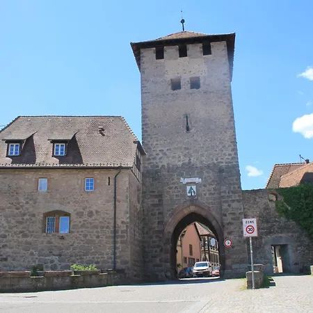 Elsa - Au Calme Des Vignes - Parking Privatif & Animaux Bienvenus Dambach-la-Ville