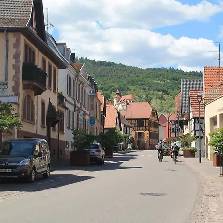 Elsa - Au Calme Des Vignes - Parking Privatif & Animaux Bienvenus アパート