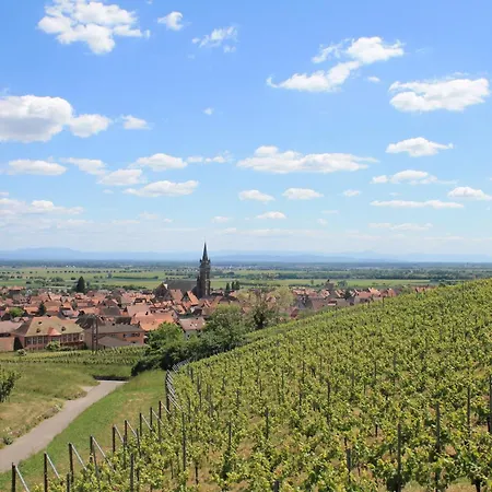 Elsa - Au Calme Des Vignes - Parking Privatif & Animaux Bienvenus